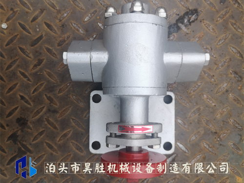 上海KCB不锈钢泵/食品泵